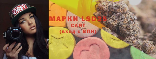 гидра Вязники