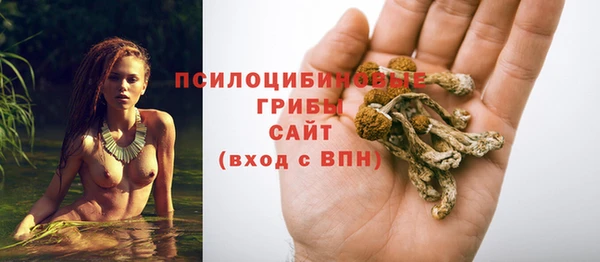 гидра Вязники
