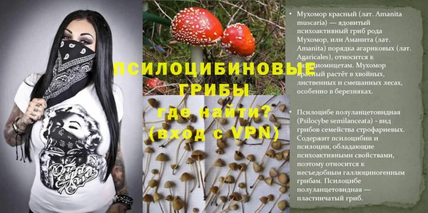 первитин Вязьма