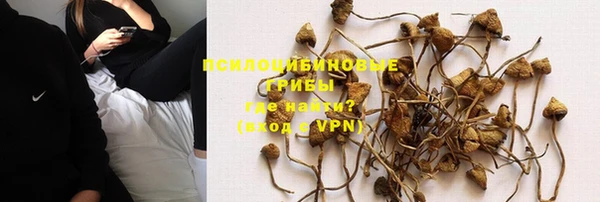первитин Вязьма