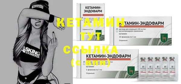 гидра Вязники