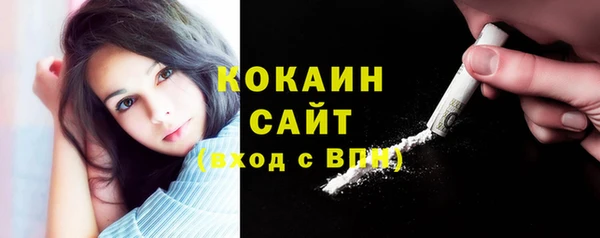 гидра Вязники