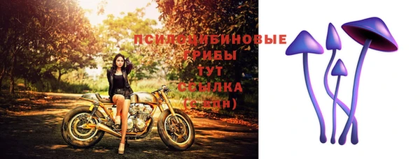 гидра Вязники