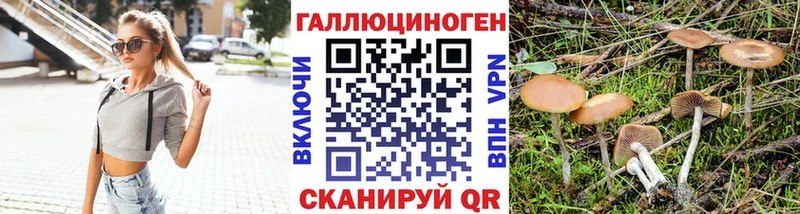 Псилоцибиновые грибы прущие грибы  площадка состав  Новохопёрск 
